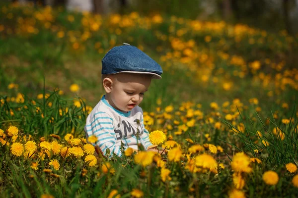 Cute little boy with dandelions — Stock Photo, Image