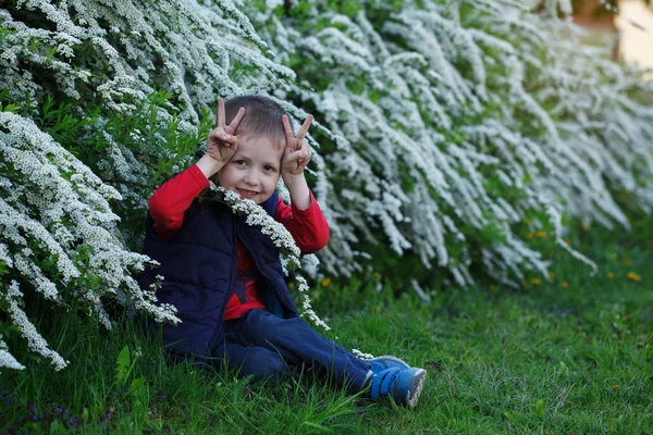 Bir küçük çocuk çocuk mutlu, yaz aylarında maymun oynamak çocuk. — Stok fotoğraf
