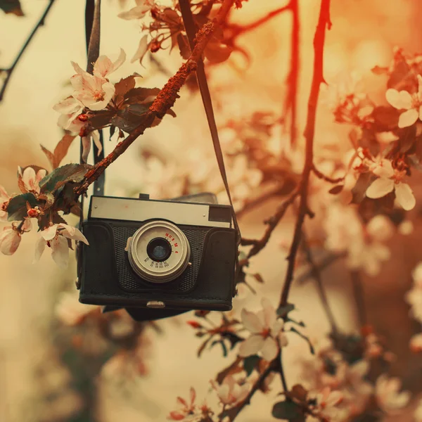 古いレトロなカメラは晴れた春の日にアップル ツリーにハングアップします。. — ストック写真