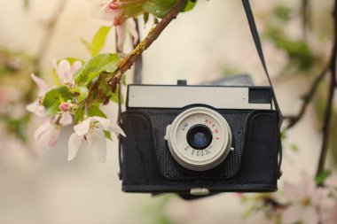 Eski kamera güneşli bahar günde bir elma ağacı üzerinde asılı