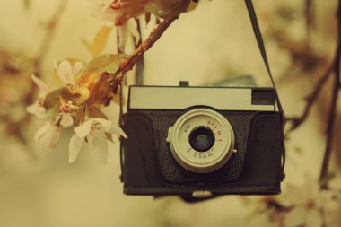 Eski kamera güneşli bahar günde bir elma ağacı üzerinde asılı