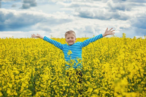 Menino pulando de alegria em um prado em um dia ensolarado — Fotografia de Stock