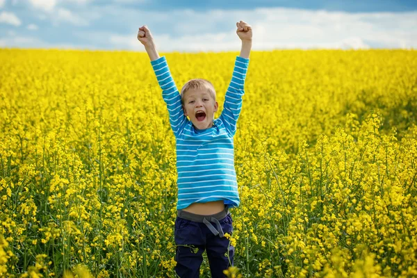 küçük çocuk sevinç için güneşli bir günde bir çayır üzerinde atlama