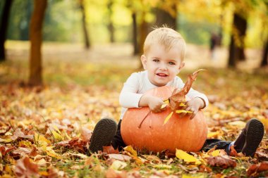 Having oyunculuk ile portakal pumplkin sonbahar Park'ta küçük yürümeye başlayan çocuk