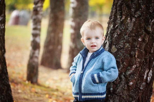 Portrait Cute little smiling boy in a knitted sweater is playing  near a tree in autumn park — Stock Photo, Image