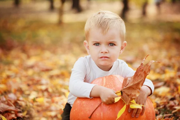 Portrait Little toddler boy having fun with  orange pumplkin in autumn — Stock Photo, Image