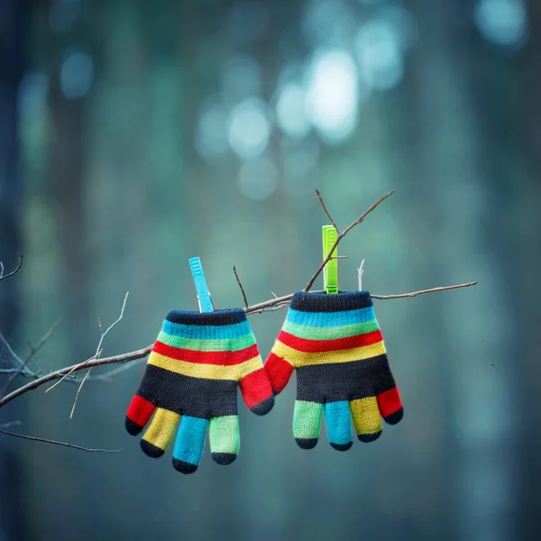Malé dětské rukavice visí na vlásku v zimě venku Stock Fotografie