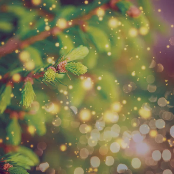 Primo piano dell'albero di Natale verde. Sfondo natalizio.Retr tonica — Foto Stock