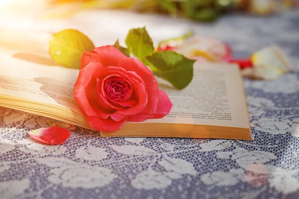 Rosa Rosa e Livro na mesa à luz do sol, foco suave. Valentim — Fotografia de Stock