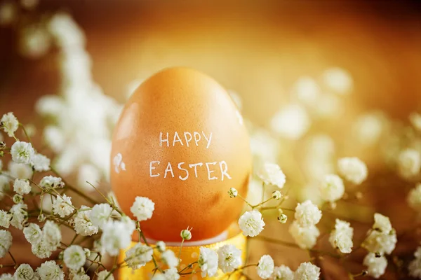 Uovo di Pasqua con piccoli fiori bianchi. Concetto Buona Pasqua — Foto Stock