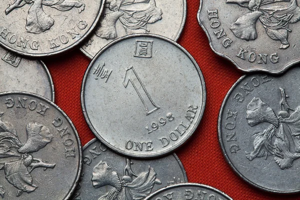 Diferentes monedas de Hong Kong — Foto de Stock