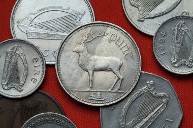 İrlanda'nın farklı madeni paralar.