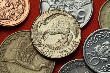 Different Coins of New Zealand clipart