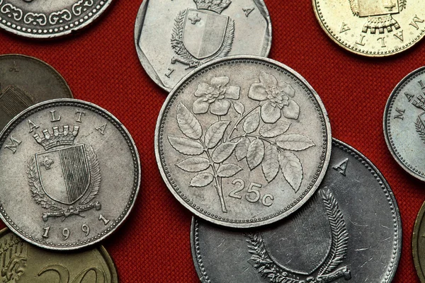 Different Coins of Malta — Stock Photo, Image