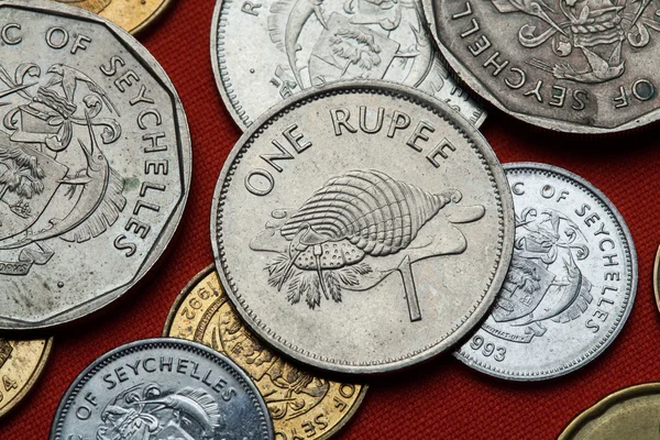 塞舌尔的不同硬币 — 图库照片