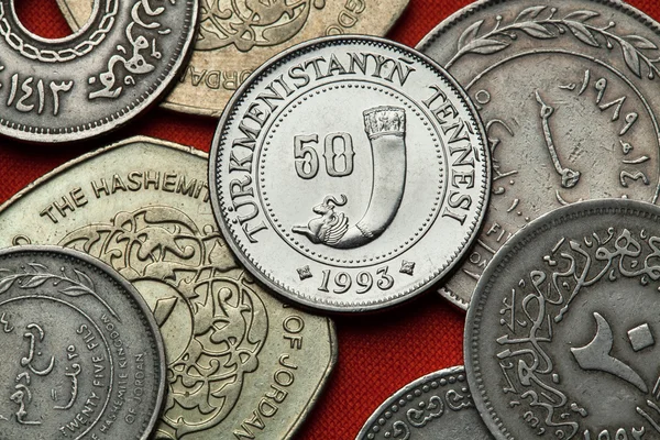 Different Coins of Turkmenistan — Stock Photo, Image