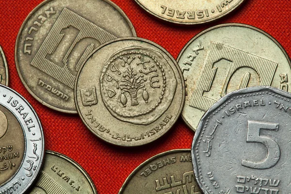 Différentes pièces de monnaie d'Israël — Photo