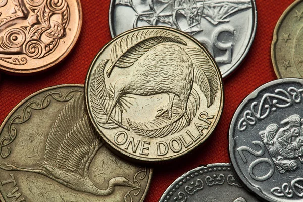 Different Coins of New Zealand — Stock Photo, Image