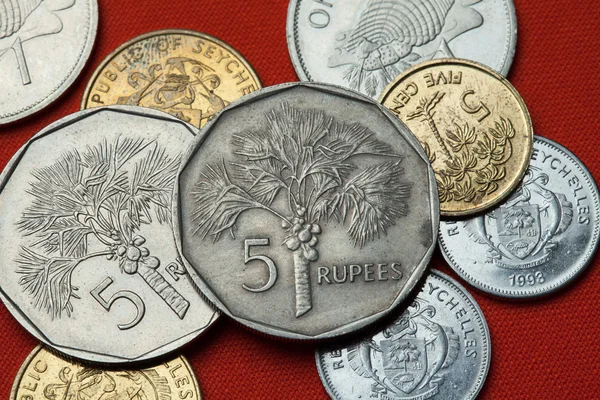 Different Coins of the Seychelles — Stock Photo, Image