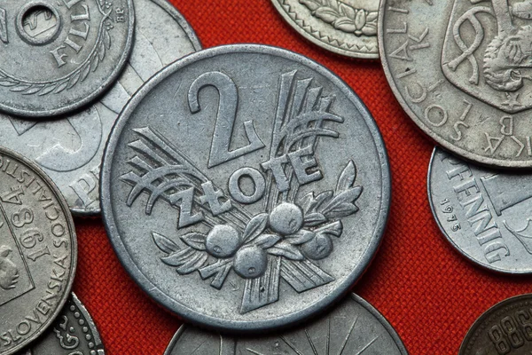 Pièces de monnaie de la Pologne communiste — Photo