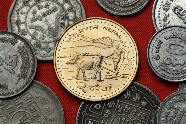 Coins of Nepal. Farmer ploughing — Stock Photo, Image