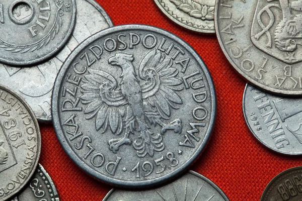 Monedas de la Polonia comunista — Foto de Stock