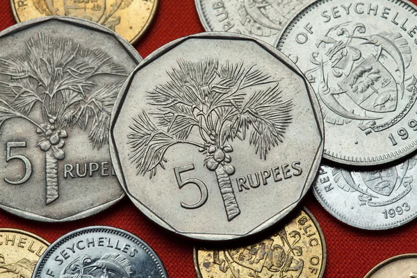Monedas de las Seychelles. Palmera de coco —  Fotos de Stock