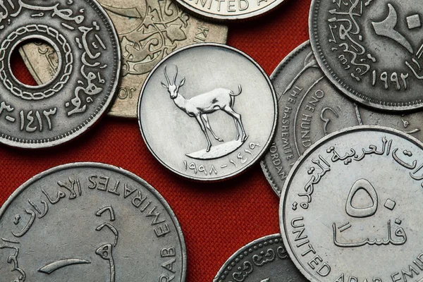 Coins of the United Arab Emirates. — Stock Photo, Image