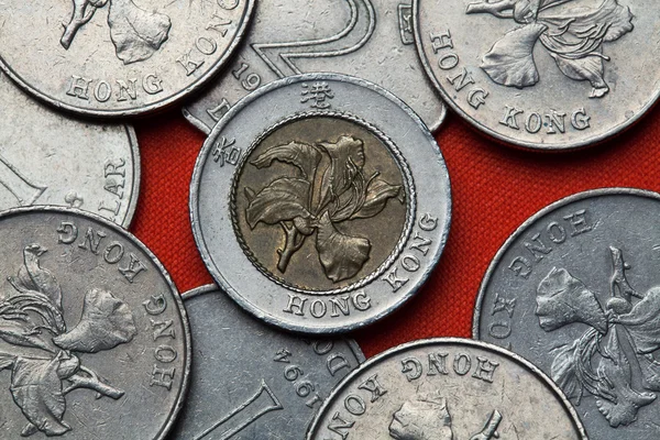 Monety z Hong Kongu — Zdjęcie stockowe