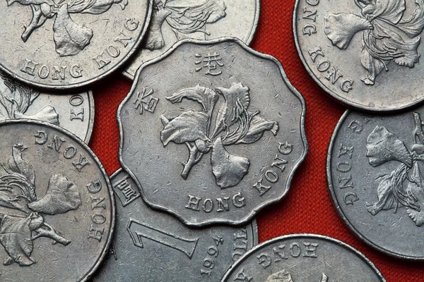 Monedas de Hong Kong — Foto de Stock