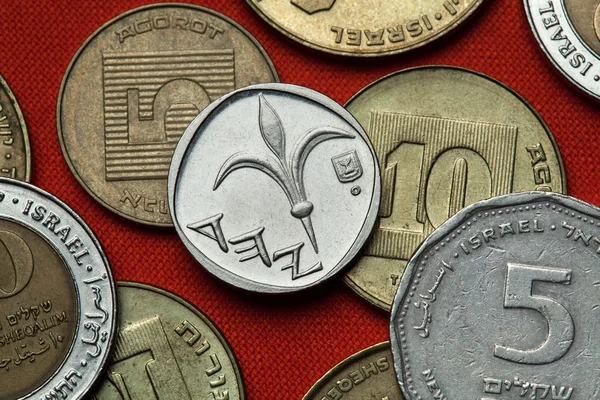 Монети Ізраїлю. Квітка лілії — стокове фото
