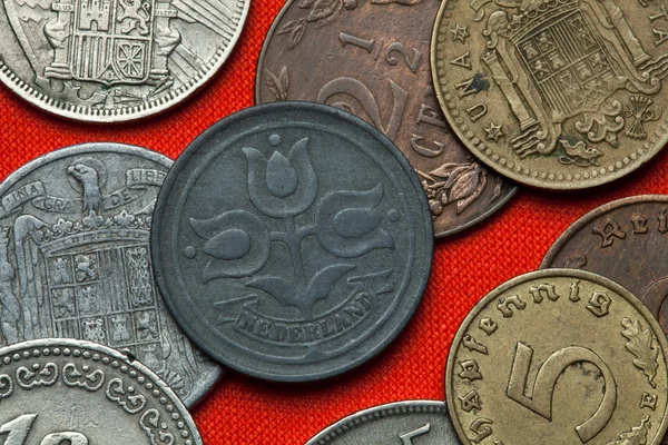 Monedas de los Países Bajos. Tres tulipanes — Foto de Stock