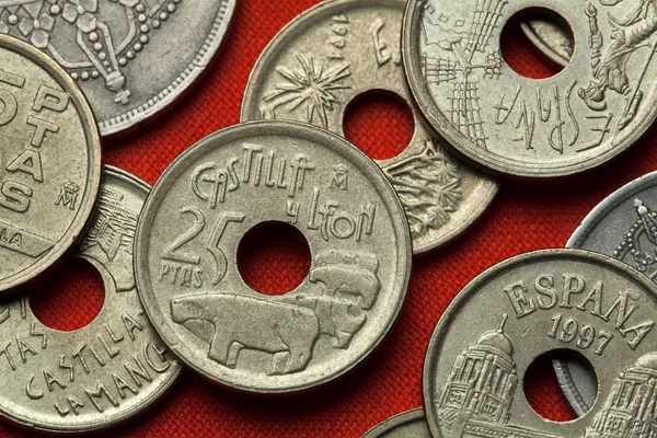 Monedas de España. Toros de Guisando en Ávila —  Fotos de Stock