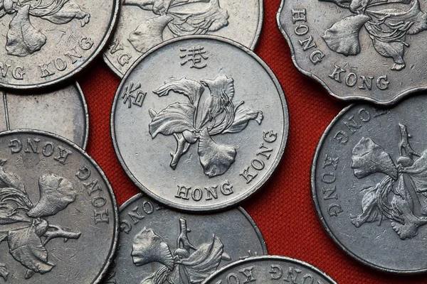 Monedas de Hong Kong — Foto de Stock