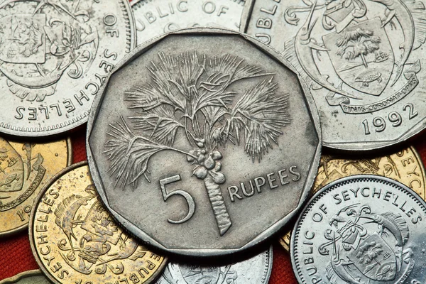 Monedas de las Seychelles. Palmera de coco — Foto de Stock