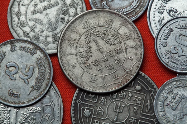 Nepalese rupee coins. — Stock Photo, Image