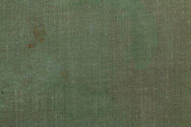 Kirli soluk yeşil tuval doku