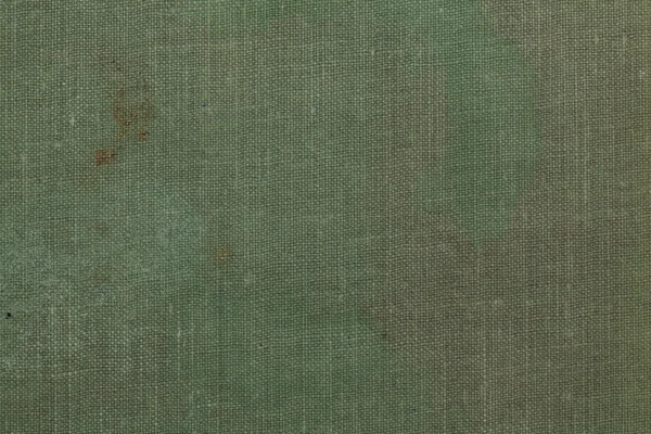 Dirty pale green canvas texture — Stock Photo, Image