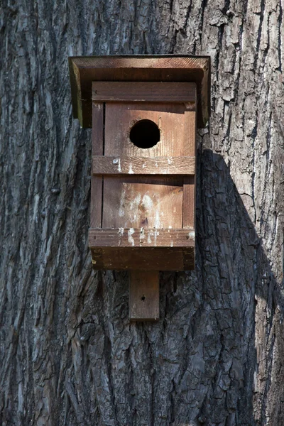 Scatola di nido su un albero — Foto Stock