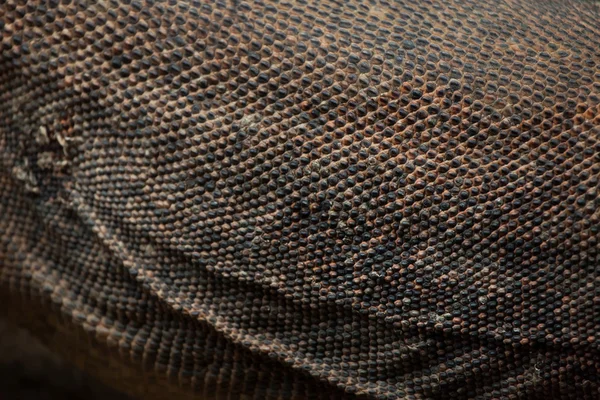 Textura de piel de dragón Komodo — Foto de Stock