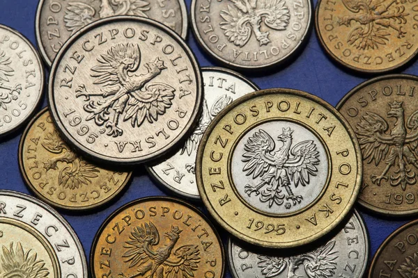 Monedas de Polonia — Foto de Stock