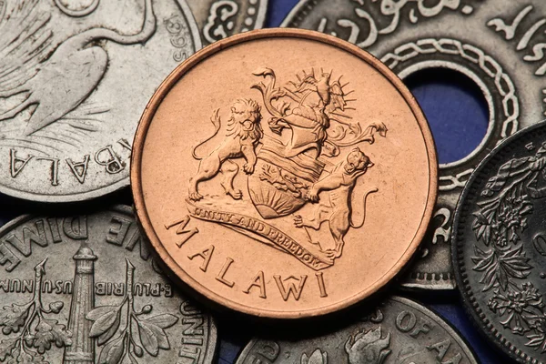 Herb na malawijski monety — Zdjęcie stockowe