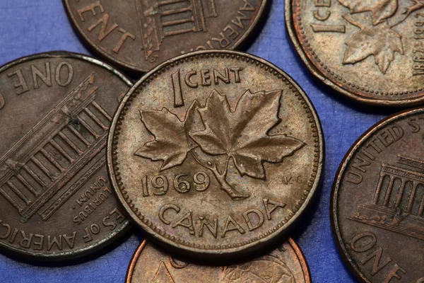 Monedas de Canadá — Foto de Stock