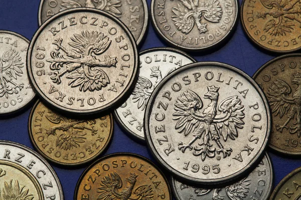 Monedas de Polonia — Foto de Stock