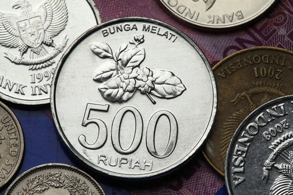 Coins of Indonesia — Stock Photo, Image