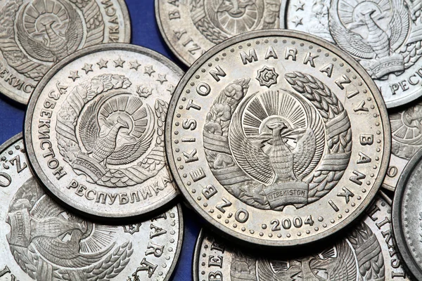 Özbekistan'ın paraları — Stok fotoğraf