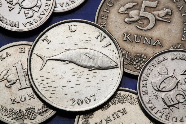 Монеты Хорватии — стоковое фото