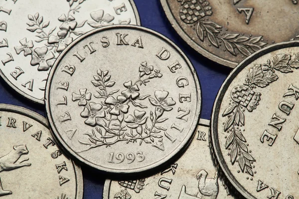Coins of Croatia — Stock Photo, Image