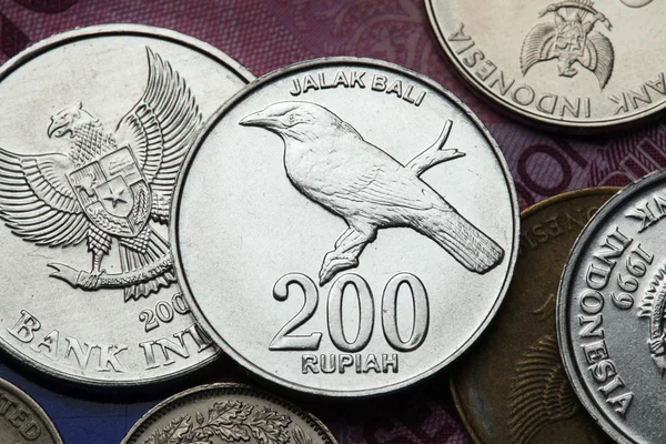 Монети Індонезії — стокове фото