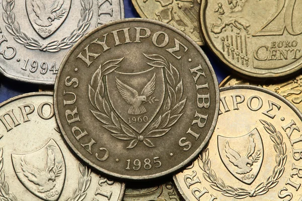 Moedas de Chipre — Fotografia de Stock